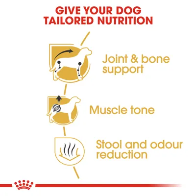 Royal Canin Dachshund Adult