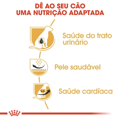 Dê ao seu cão uma nutrição adaptada: saúde do trato urinário, pele saudável, saúde cardíaca. Texto e ícones ilustrativos de benefícios para cães.