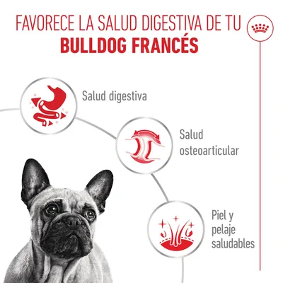 Royal Canin French Bulldog Loaf Royal Canin French Bulldog Loaf