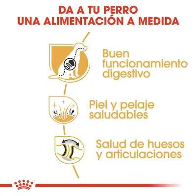 Da a tu perro una alimentación a medida: buen funcionamiento digestivo, piel y pelaje saludables, salud de huesos y articulaciones.