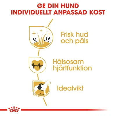 Ge din hund individuellt anpassad kost. Frisk hud och päls, hälsosam hjärtfunktion, idealvikt.