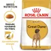 Royal Canin Great Dane Adult