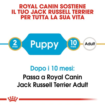 Royal Canin sostiene il tuo Jack Russell Terrier per tutta la sua vita. Puppy da 2 a 10 mesi, poi passa a Royal Canin Jack Russell Terrier Adult dopo i 10 mesi.