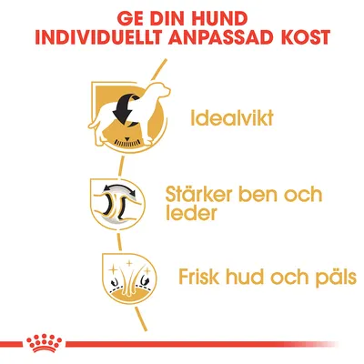 Ge din hund individuellt anpassad kost. Idealvikt. Stärker ben och leder. Frisk hud och päls.