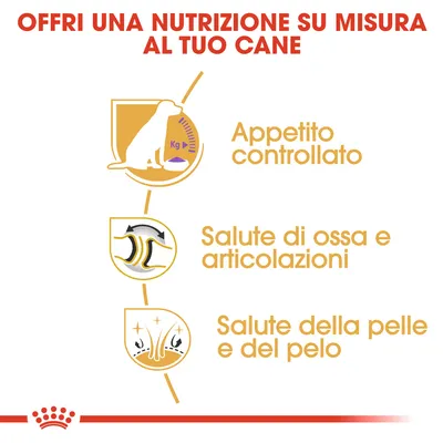Offri una nutrizione su misura al tuo cane: appetito controllato, salute di ossa e articolazioni, salute della pelle e del pelo. Testo e icone esplicative.