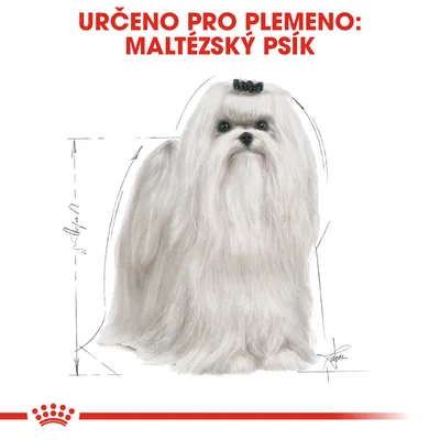 Určeno pro plemeno: maltézský psík. Ilustrace psa s dlouhou srstí a náčrtky rozměrů kolem těla.
