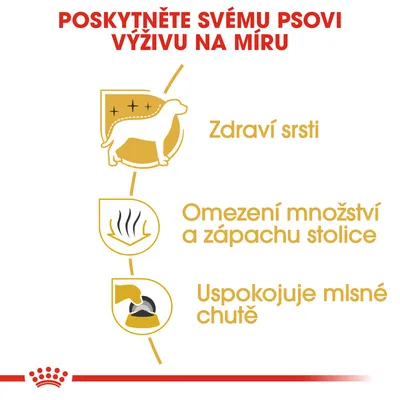 Poskytněte svému psovi výživu na míru: Zdraví srsti, Omezení množství a zápachu stolice, Uspokojuje mlsné chutě.