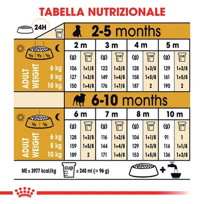 Tabella nutrizionale per cuccioli: dosi giornaliere in grammi e cup per peso adulto 6–10 kg, suddivise per età da 2 a 10 mesi. 1 cup = 240 ml (≈96 g). ME=3977 kcal/kg.