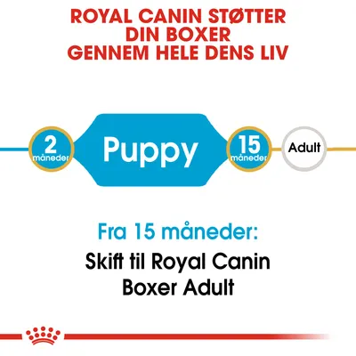 Royal Canin støtter din boxer gennem hele dens liv. Puppy fra 2–15 måneder, derefter Adult. Fra 15 måneder: Skift til Royal Canin Boxer Adult.