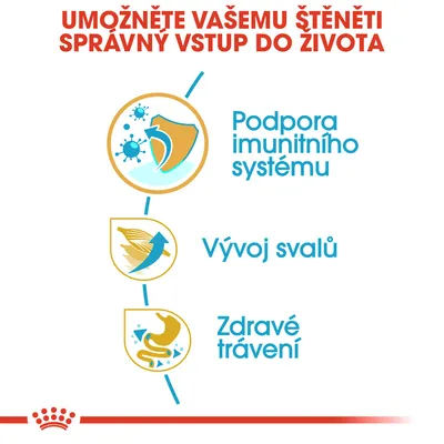 Podpora imunitního systému, vývoj svalů, zdravé trávení – klíčové benefity pro štěňata uvedené na obrázku s ikonami a textem.