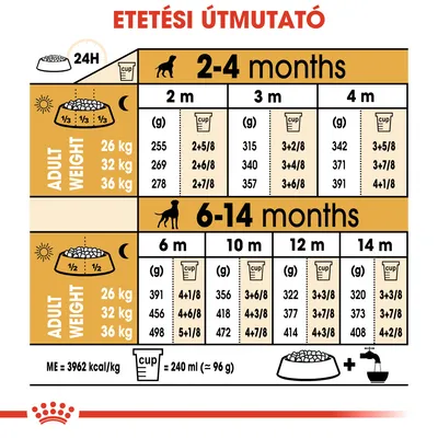 Etetési útmutató kölyökkutyáknak: 2–4 és 6–14 hónapos korban, felnőtt súly szerint (26 kg, 32 kg, 36 kg), gramm és csésze adagolással. 1 csésze = 240 ml ≈ 96 g.