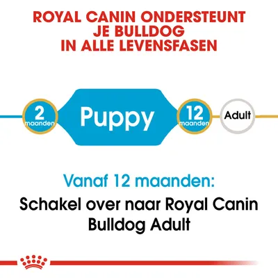 Royal Canin ondersteunt je bulldog in alle levensfasen. Puppy: 2–12 maanden. Vanaf 12 maanden: schakel over naar Royal Canin Bulldog Adult.