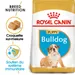Royal Canin Bouledogue Puppy pour chiot