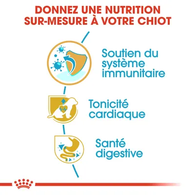Donnez une nutrition sur-mesure à votre chiot : soutien du système immunitaire, tonicité cardiaque, santé digestive. Texte en français belge visible dans l’image.