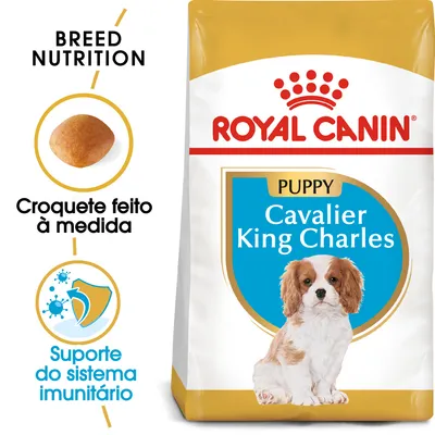 Royal Canin Puppy Cavalier King Charles. Croquete feito à medida. Suporte do sistema imunitário. Imagem de um cão da raça Cavalier King Charles na embalagem.