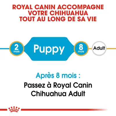 Royal Canin accompagne votre chihuahua tout au long de sa vie. Puppy 2–8 mois, Adult après 8 mois. Passez à Royal Canin Chihuahua Adult après 8 mois.