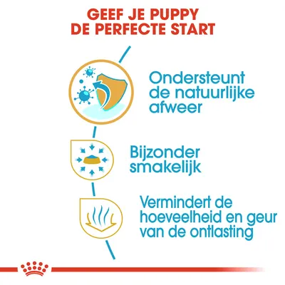 Geef je puppy de perfecte start. Ondersteunt de natuurlijke afweer. Bijzonder smakelijk. Vermindert de hoeveelheid en geur van de ontlasting.