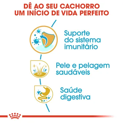 Dê ao seu cachorro um início de vida perfeito: suporte do sistema imunitário, pele e pelagem saudáveis, saúde digestiva. Dê ao seu cachorro um início de vida perfeito: suporte do sistema imunitário, pele e pelagem saudáveis, saúde digestiva.