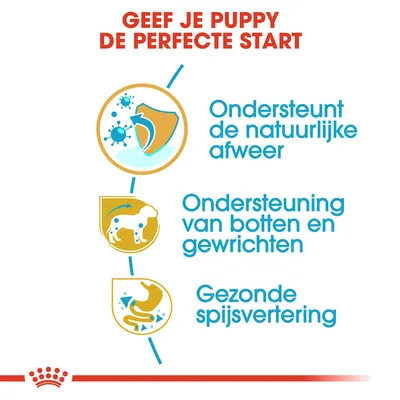 Geef je puppy de perfecte start. Ondersteunt de natuurlijke afweer, ondersteuning van botten en gewrichten, gezonde spijsvertering.