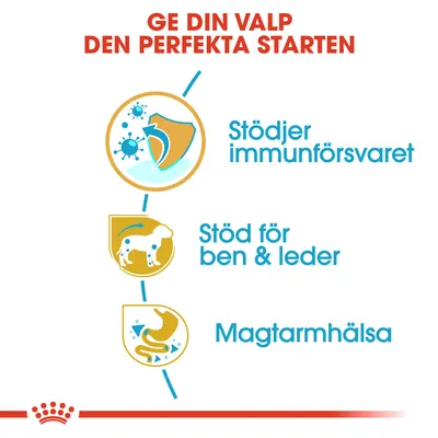 Ge din valp den perfekta starten. Stödjer immunförsvaret, stöd för ben & leder, magtarmhälsa.