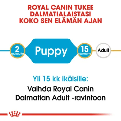 ROYAL CANIN tukee dalmatialaistasi koko sen elämän ajan. 2 kuukautta Puppy, 15 kuukautta Adult. Yli 15 kk ikäisille: Vaihda Royal Canin Dalmatian Adult -ravintoon.
