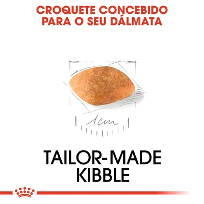 Croquete concebido para o seu dálmata, diâmetro de 1 cm. Texto em inglês: Tailor-made kibble.