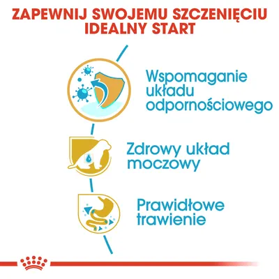 Wspomaganie układu odpornościowego, zdrowy układ moczowy, prawidłowe trawienie – zalety dla szczeniąt. Nagłówek: Zapewnij swojemu szczenięciu idealny start.
