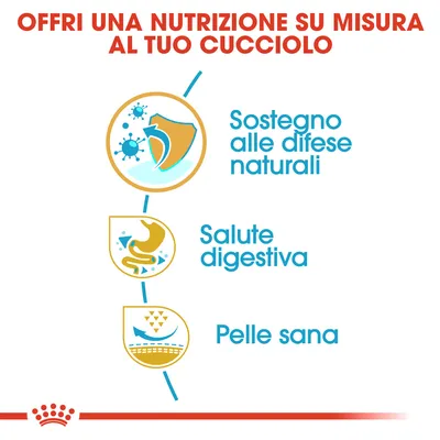 Offri una nutrizione su misura al tuo cucciolo. Sostegno alle difese naturali, salute digestiva, pelle sana.