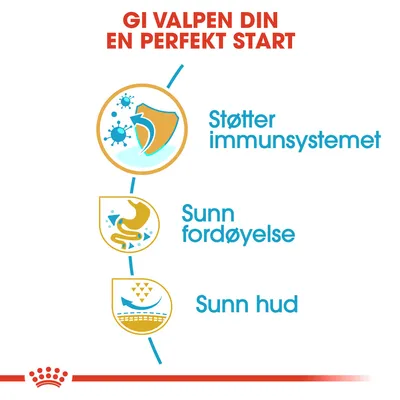 Royal Canin French Bulldog Puppy