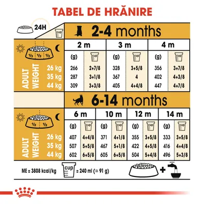 Tabel de hrănire pentru câini: cantități zilnice recomandate în grame și cupe, pe categorii de vârstă (2–14 luni) și greutate adult (26, 35, 44 kg). Cupa = 240 ml (≈91 g).