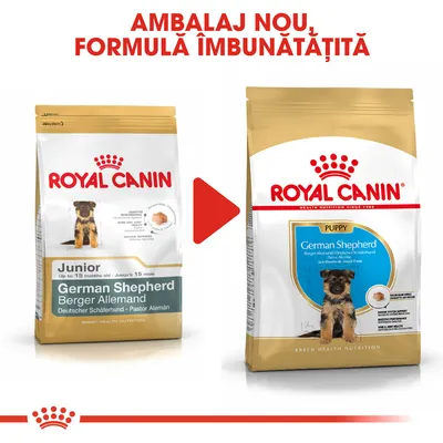 Ambalaj nou, formulă îmbunătățită Royal Canin German Shepherd Junior/Puppy. Imagine cu vechiul și noul ambalaj pentru hrană uscată câini, text vizibil: German Shepherd, Puppy, Junior.