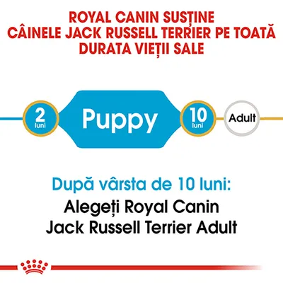 Royal Canin susține câinele Jack Russell Terrier pe toată durata vieții. Puppy: 2–10 luni. După 10 luni, alegeți Royal Canin Jack Russell Terrier Adult.