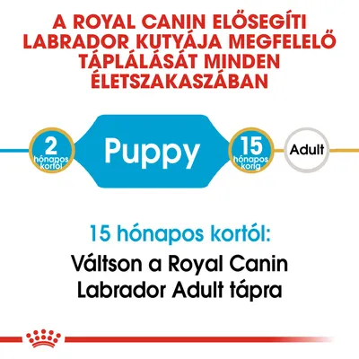 A Royal Canin elősegíti labrador kutyája megfelelő táplálását minden életszakaszban. 2 hónapos kortól Puppy, 15 hónapos kortól váltson Labrador Adult tápra.