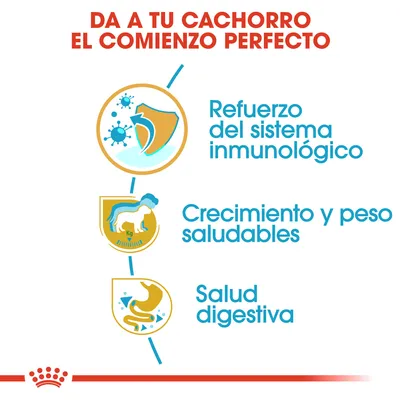 Da a tu cachorro el comienzo perfecto: refuerzo del sistema inmunológico, crecimiento y peso saludables, salud digestiva. Texto en español con iconos explicativos.