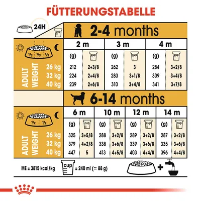 Fütterungstabelle für Hunde von 2-14 Monaten. Angaben nach Alter, Gewicht und Tagesration in Gramm oder Cups. ME: 3815 kcal/kg, 1 Cup = 240 ml (≈ 88 g).