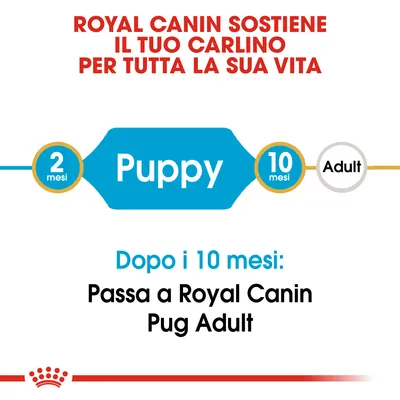 ROYAL CANIN SOSTIENE IL TUO CARLINO PER TUTTA LA SUA VITA. Puppy da 2 a 10 mesi, poi Adult. Dopo i 10 mesi: Passa a Royal Canin Pug Adult.