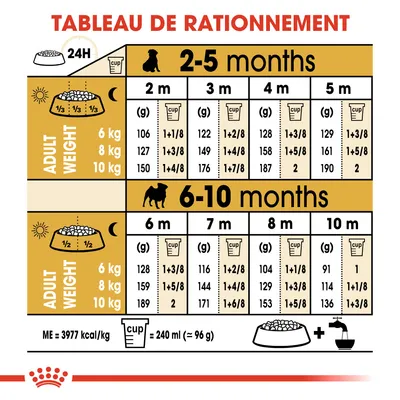 Tableau de rationnement pour chiots selon poids adulte (6, 8, 10 kg) et âge (2–10 mois), quantités en grammes et tasses par jour. 1 tasse = 240 ml (≈96 g). ME = 3977 kcal/kg.