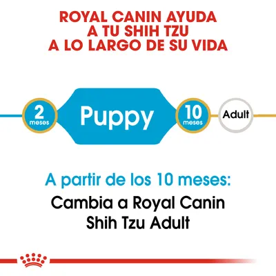 Royal Canin ayuda a tu Shih Tzu a lo largo de su vida. Puppy: 2 meses–10 meses. A partir de los 10 meses: Cambia a Royal Canin Shih Tzu Adult.