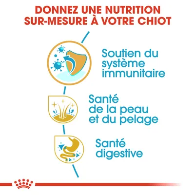 Donnez une nutrition sur-mesure à votre chiot : soutien du système immunitaire, santé de la peau et du pelage, santé digestive.