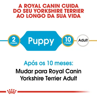 A Royal Canin cuida do seu Yorkshire Terrier ao longo da sua vida. Puppy dos 2 aos 10 meses. Após os 10 meses: mudar para Royal Canin Yorkshire Terrier Adult.