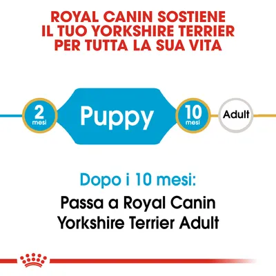 Royal Canin sostiene il tuo Yorkshire Terrier per tutta la vita. Puppy da 2 a 10 mesi, poi passa a Royal Canin Yorkshire Terrier Adult dopo i 10 mesi.