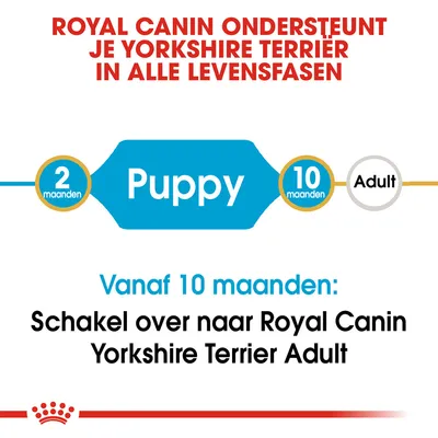 Royal Canin ondersteunt je Yorkshire Terrier in alle levensfasen. Puppy: 2–10 maanden. Vanaf 10 maanden overschakelen naar Royal Canin Yorkshire Terrier Adult.