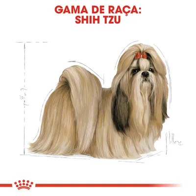GAMA DE RAÇA: SHIH TZU em letras vermelhas acima de ilustração de um cão Shih Tzu com pelo comprido e laço vermelho na cabeça. Logótipo Royal Canin visível em baixo.