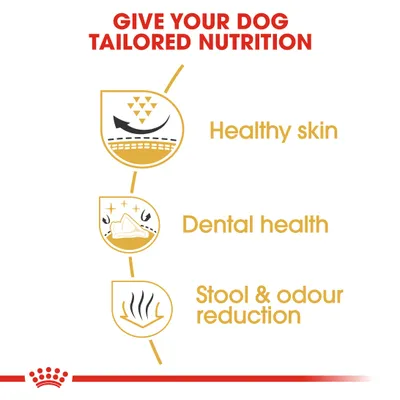 Teksti englanniksi: Give your dog tailored nutrition. Healthy skin, dental health, stool & odour reduction. Kolme kuvaketta viittaavat ihoon, hampaisiin ja ulosteen hajun vähentämiseen.