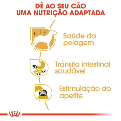 Dê ao seu cão uma nutrição adaptada: saúde da pelagem, trânsito intestinal saudável, estimulação do apetite.