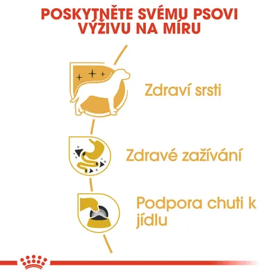 Poskytněte svému psovi výživu na míru: Zdraví srsti, Zdravé zažívání, Podpora chuti k jídlu. Tři ikonky znázorňují jednotlivé benefity.