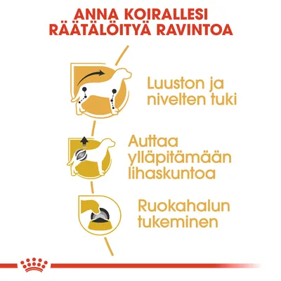 Anna koirallesi räätälöityä ravintoa. Luuston ja nivelten tuki, auttaa ylläpitämään lihaskuntoa, ruokahalun tukeminen.