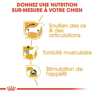 Donnez une nutrition sur-mesure à votre chien : soutien des os et des articulations, tonicité musculaire, stimulation de l’appétit.