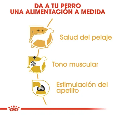 Da a tu perro una alimentación a medida. Salud del pelaje, tono muscular, estimulación del apetito.