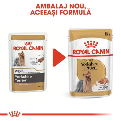 Royal Canin Adult Yorkshire Terrier 85g, ambalaj vechi și nou. Text vizibil: Ambalaj nou, aceeași formulă. Coat health, santé du pelage.